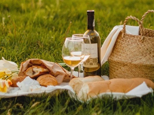 Picknicksafari - Picknick Reinhardts im Schloss