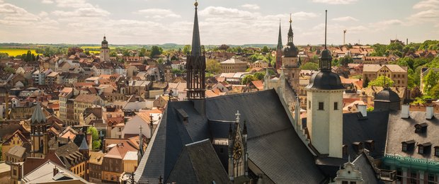 Altenburg - Blick über die Dächer