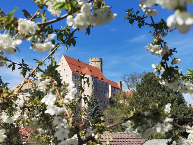 L_039.Burg.Gnadenstein.jpg