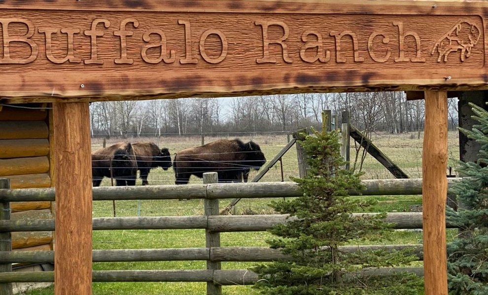 L_045.Buffalo.Ranch (1).jpg