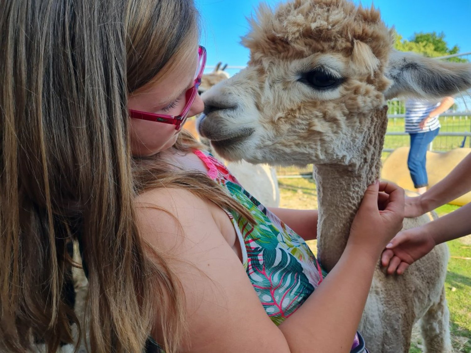 AWR Alpakas von der Winkler Ranch Heimatgenuss
