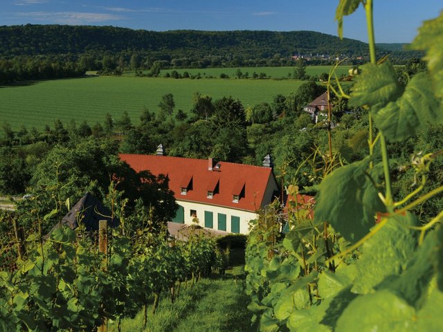 S_005_Weingut.Hey..jpg