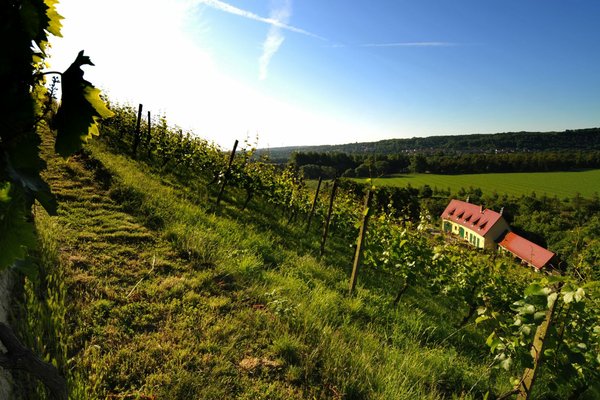 S_005_Weingut.Hey.2.jpg