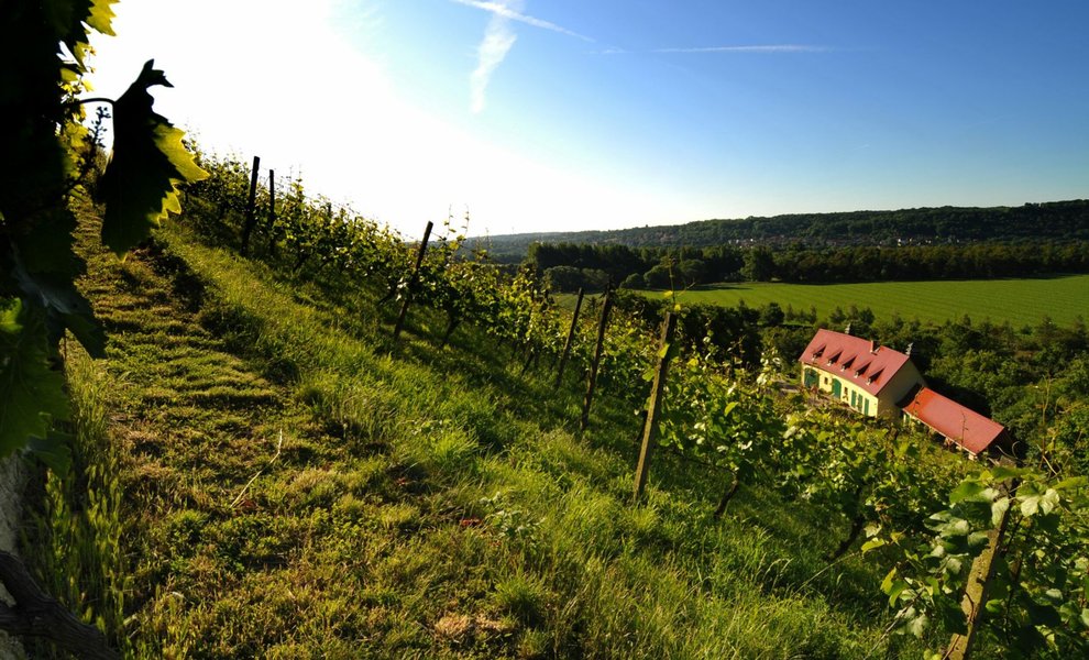 S_005_Weingut.Hey.2.jpg