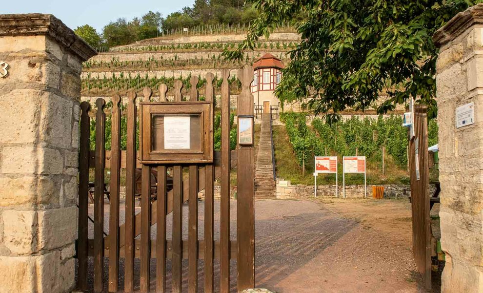 S_006_Winzervereinigung.1.Freyburg. 00_Weinbergführung.Winzergenossenschaft.Freiburg.Unstrut.jpg