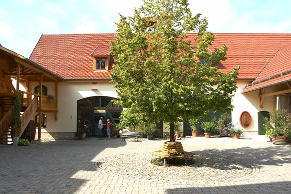 S_008_ThueringerWeingut (6).jpg