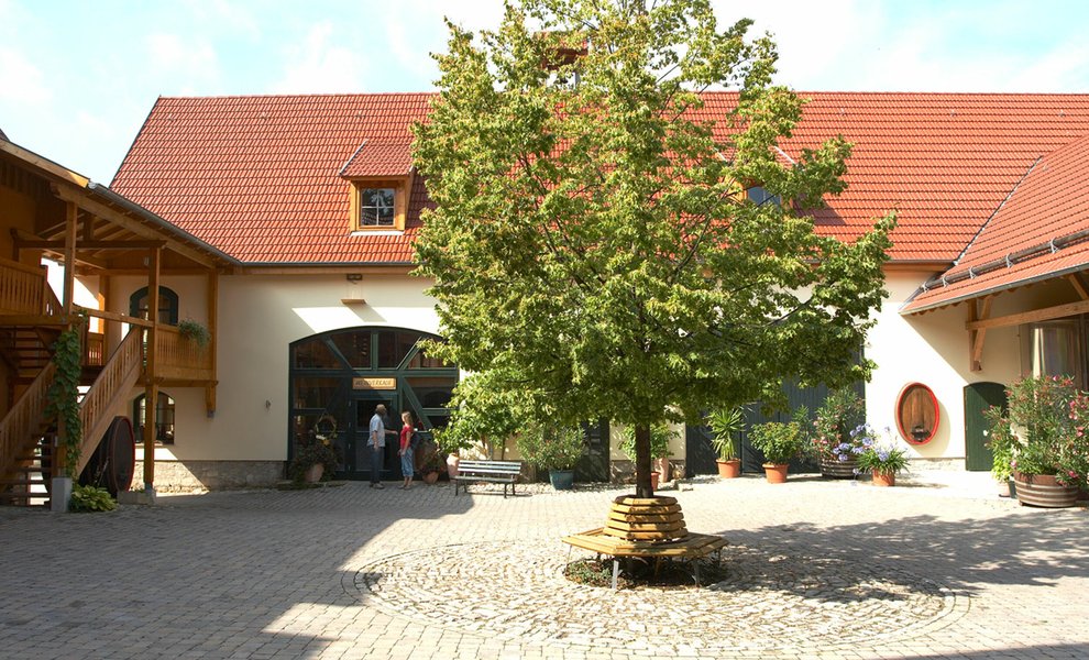 S_008_ThueringerWeingut (6).jpg