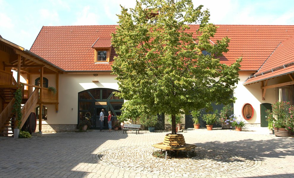 S_008_ThueringerWeingut (6).jpg